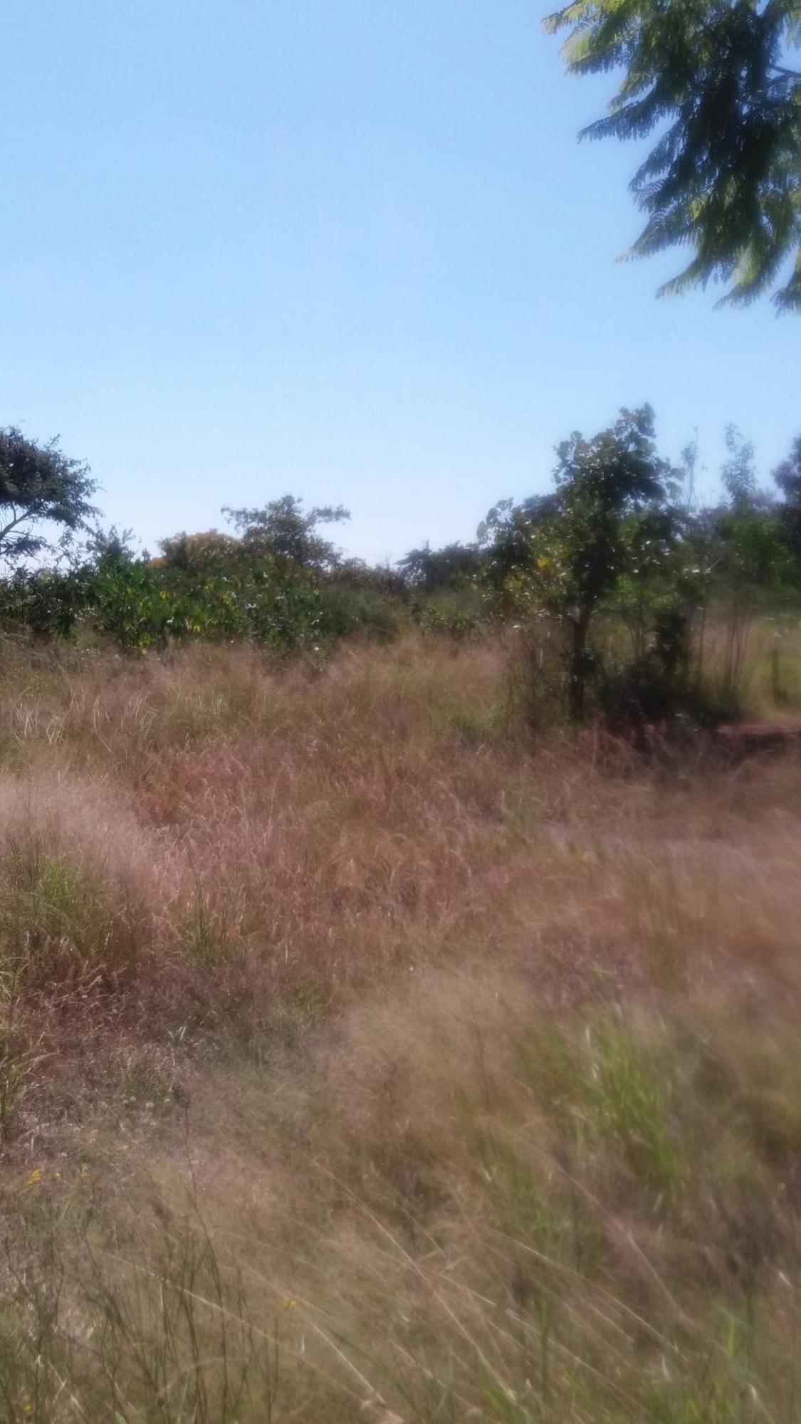 Tshulu Tsha Nabe B&B Bulawayo Esterno foto